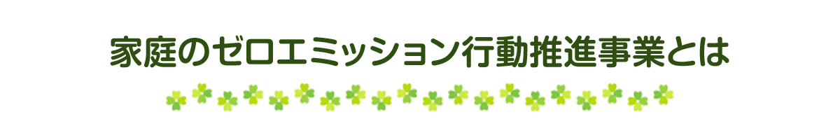 �����[���G�~�|�C���g�Ƃ́H